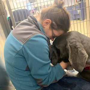 Meet your Posher, Suzzie